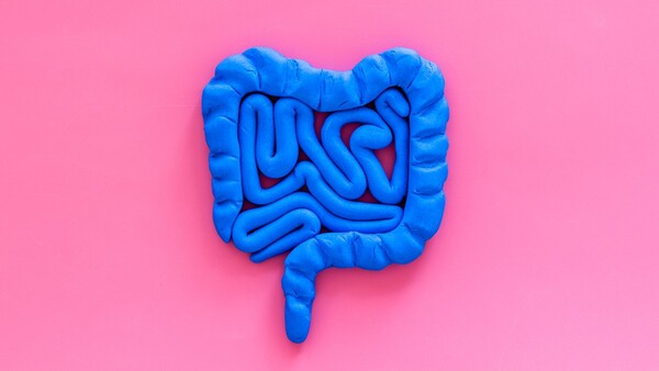 Bağırsak mikrobiyotası ve immunogenetik